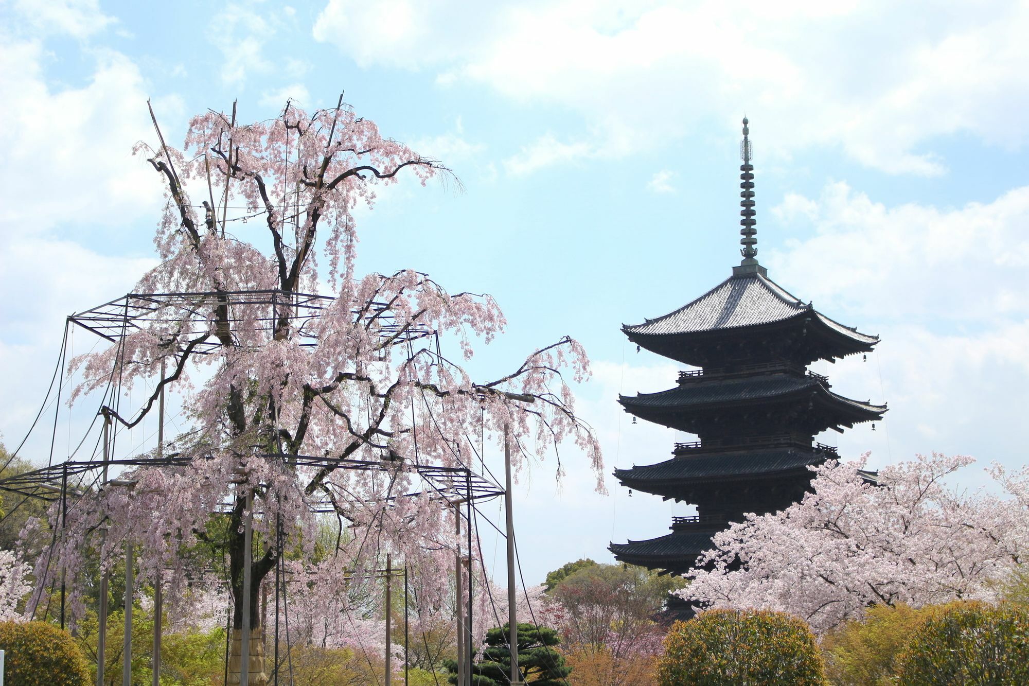 Stay Sakura Kyoto Toji West I Exterior foto